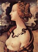 Piero di Cosimo Portrat of Simonetta Vespucci oil painting reproduction